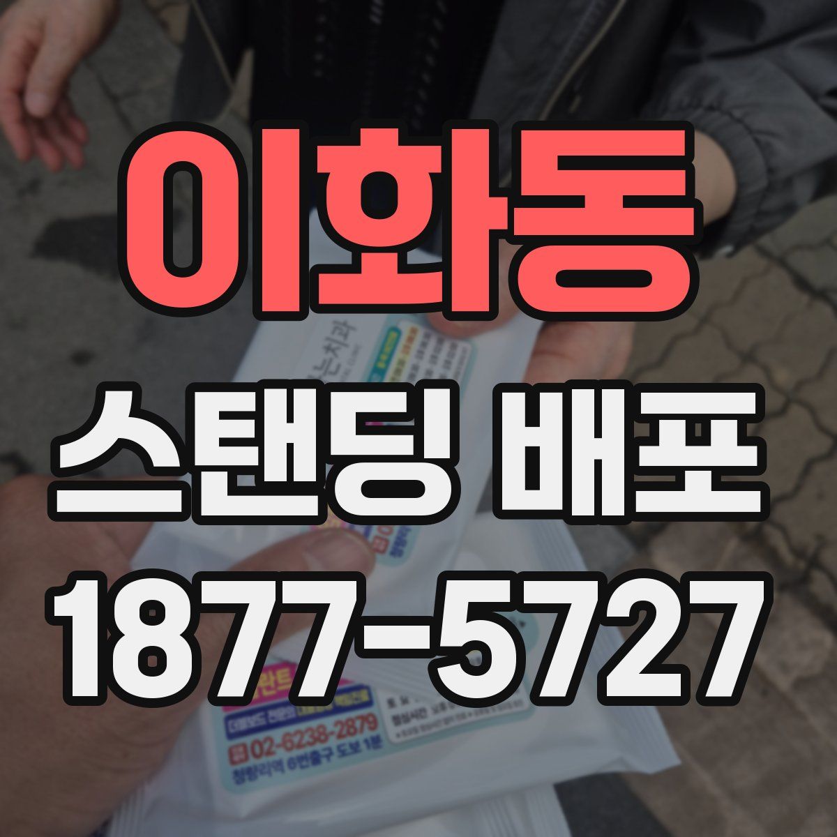 이화동 스탠딩 배포