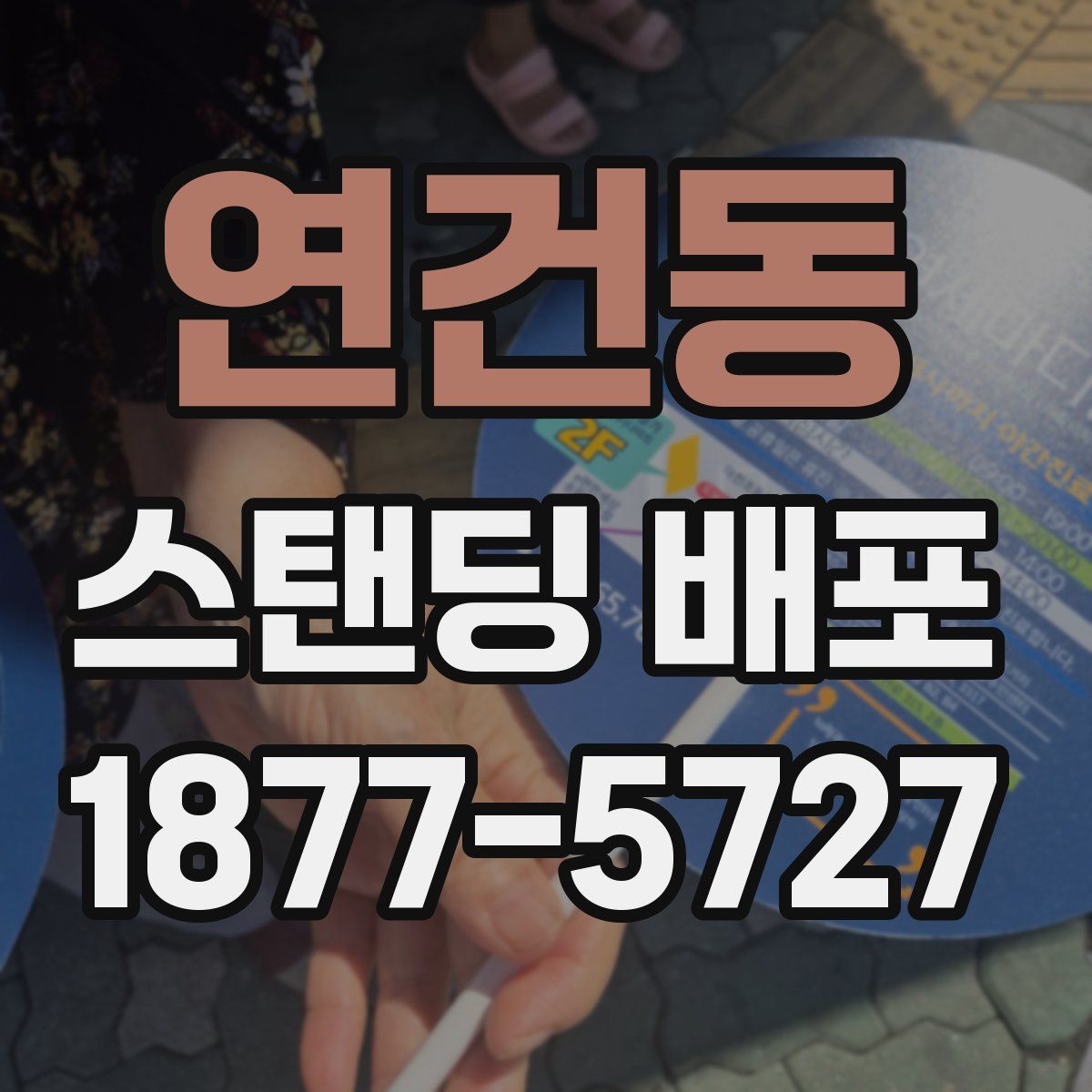 연건동 스탠딩 배포