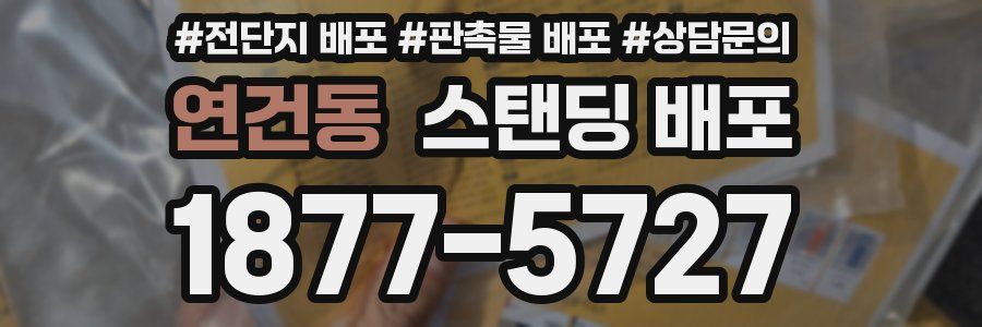 연건동 스탠딩 배포