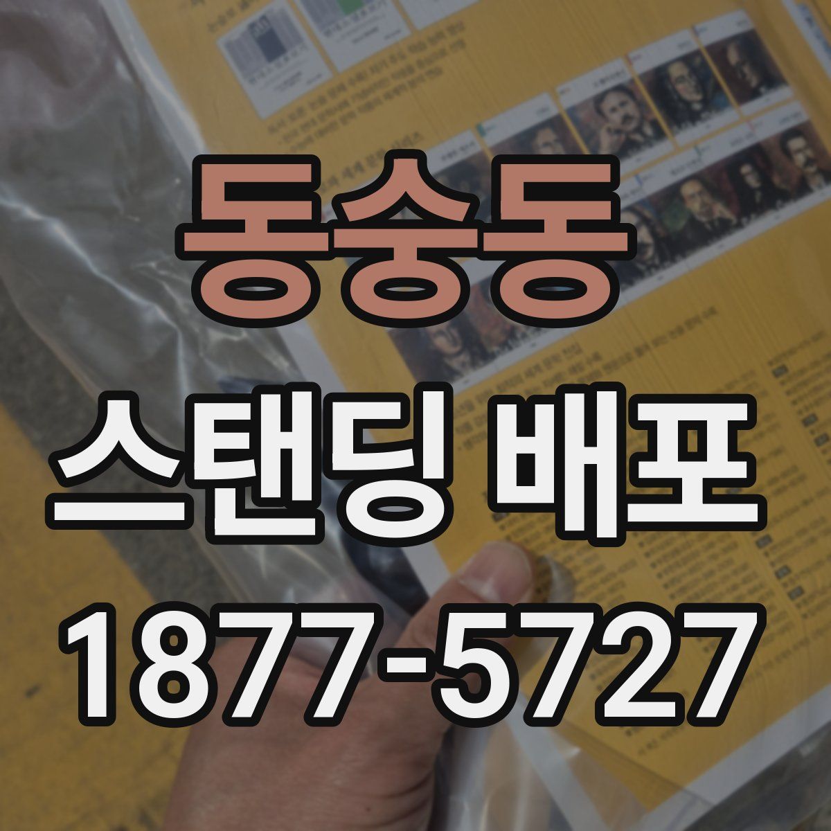동숭동 스탠딩 배포