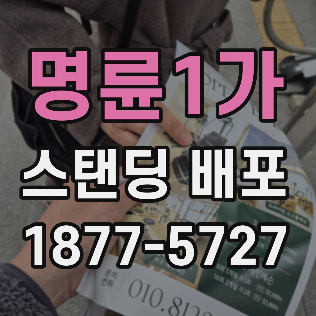 명륜1가 스탠딩 배포