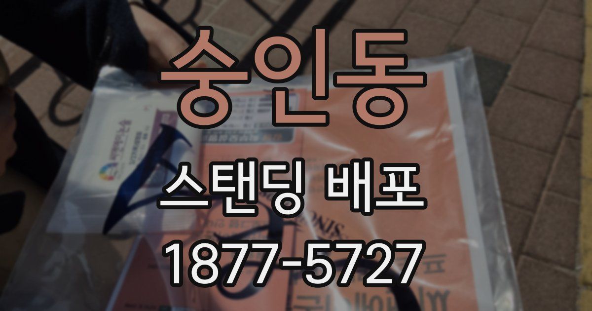숭인동 스탠딩 배포
