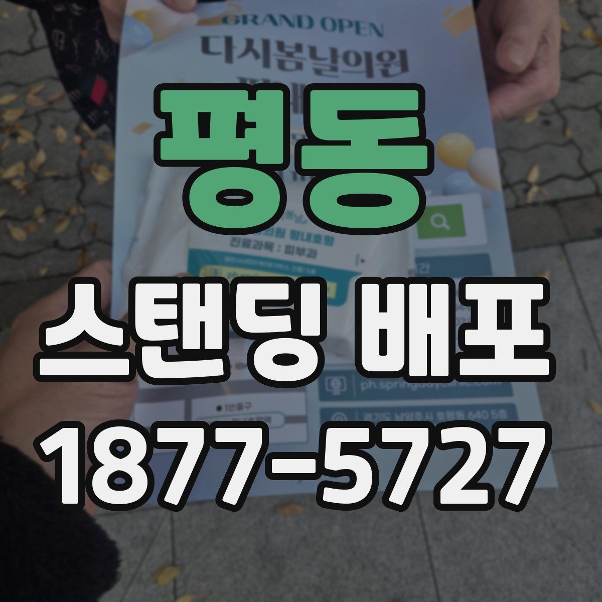 평동 스탠딩 배포