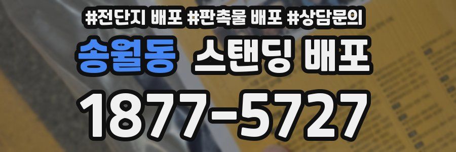 송월동 스탠딩 배포