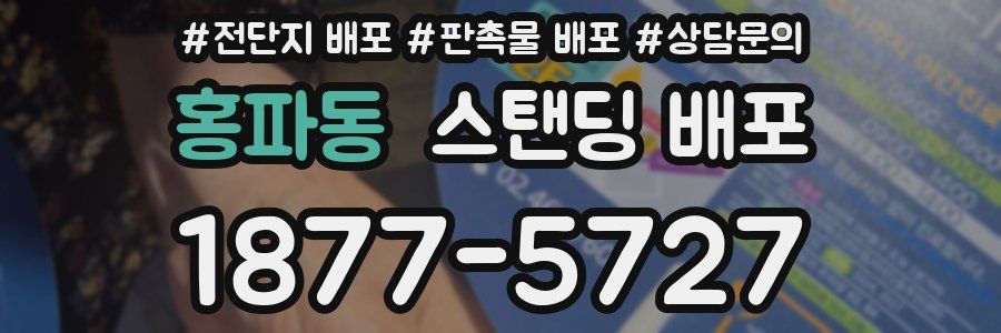 홍파동 스탠딩 배포