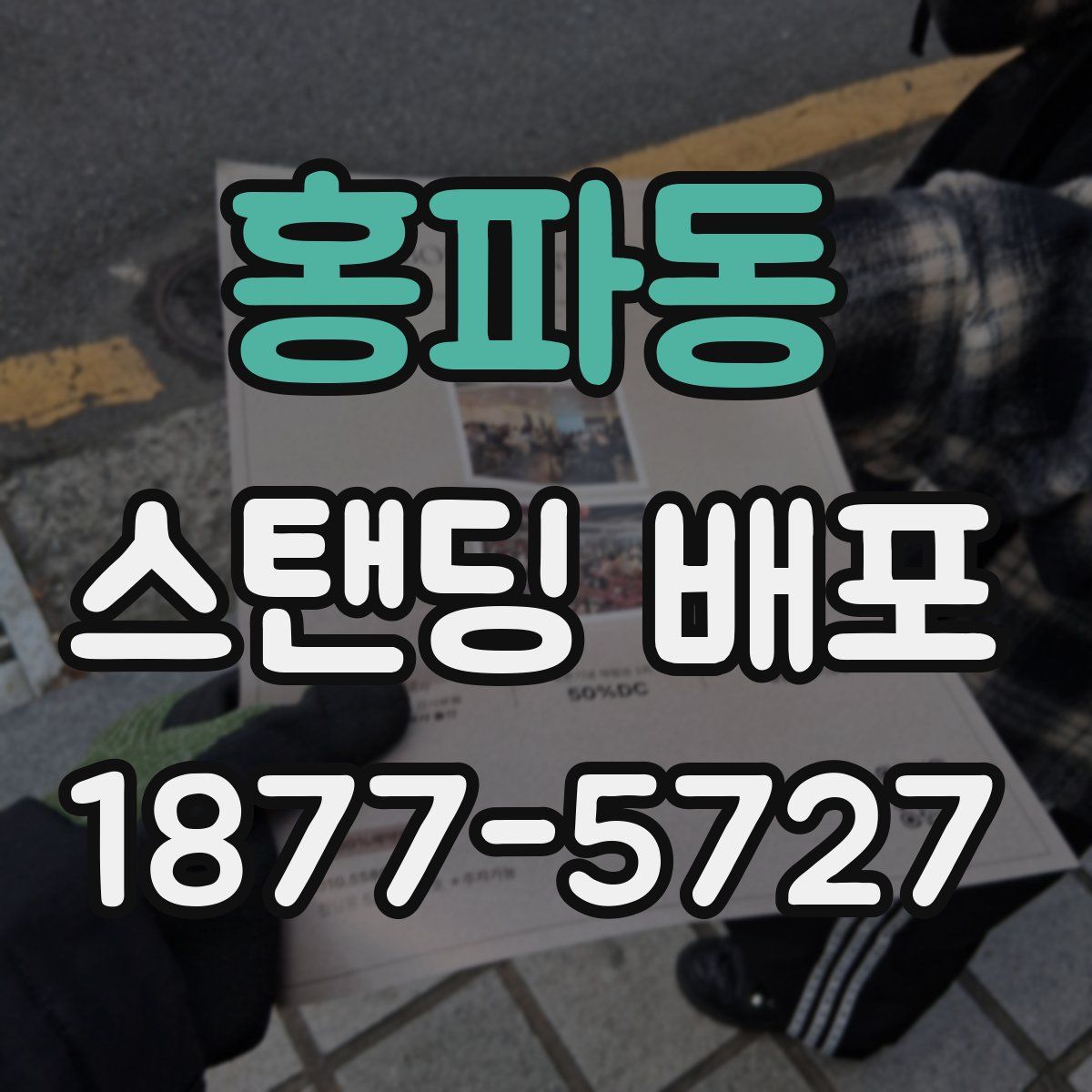 홍파동 스탠딩 배포