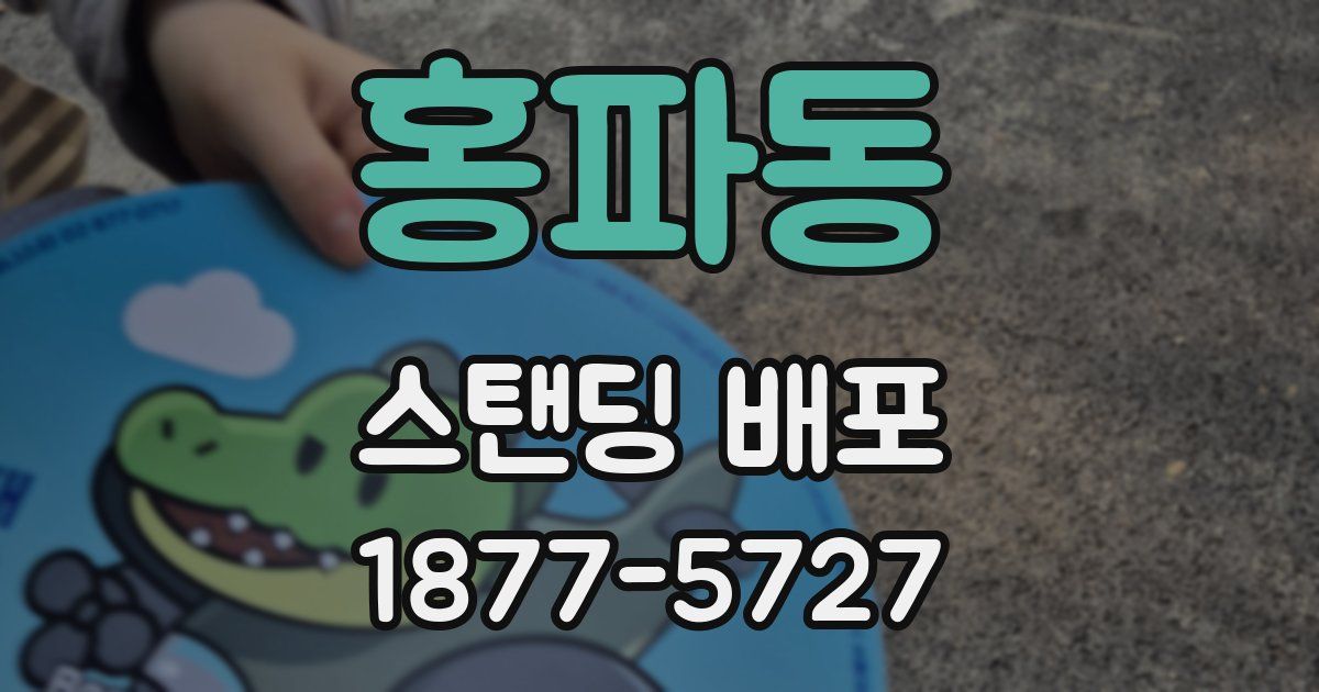 홍파동 스탠딩 배포