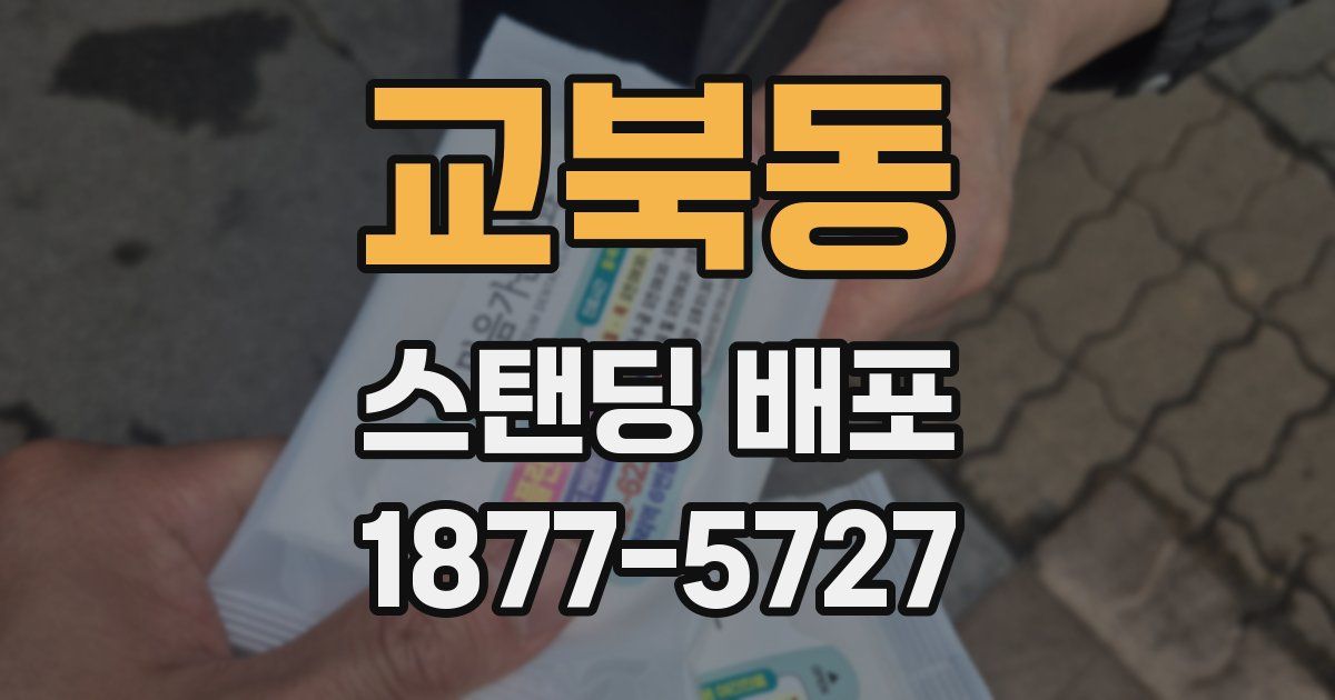교북동 스탠딩 배포