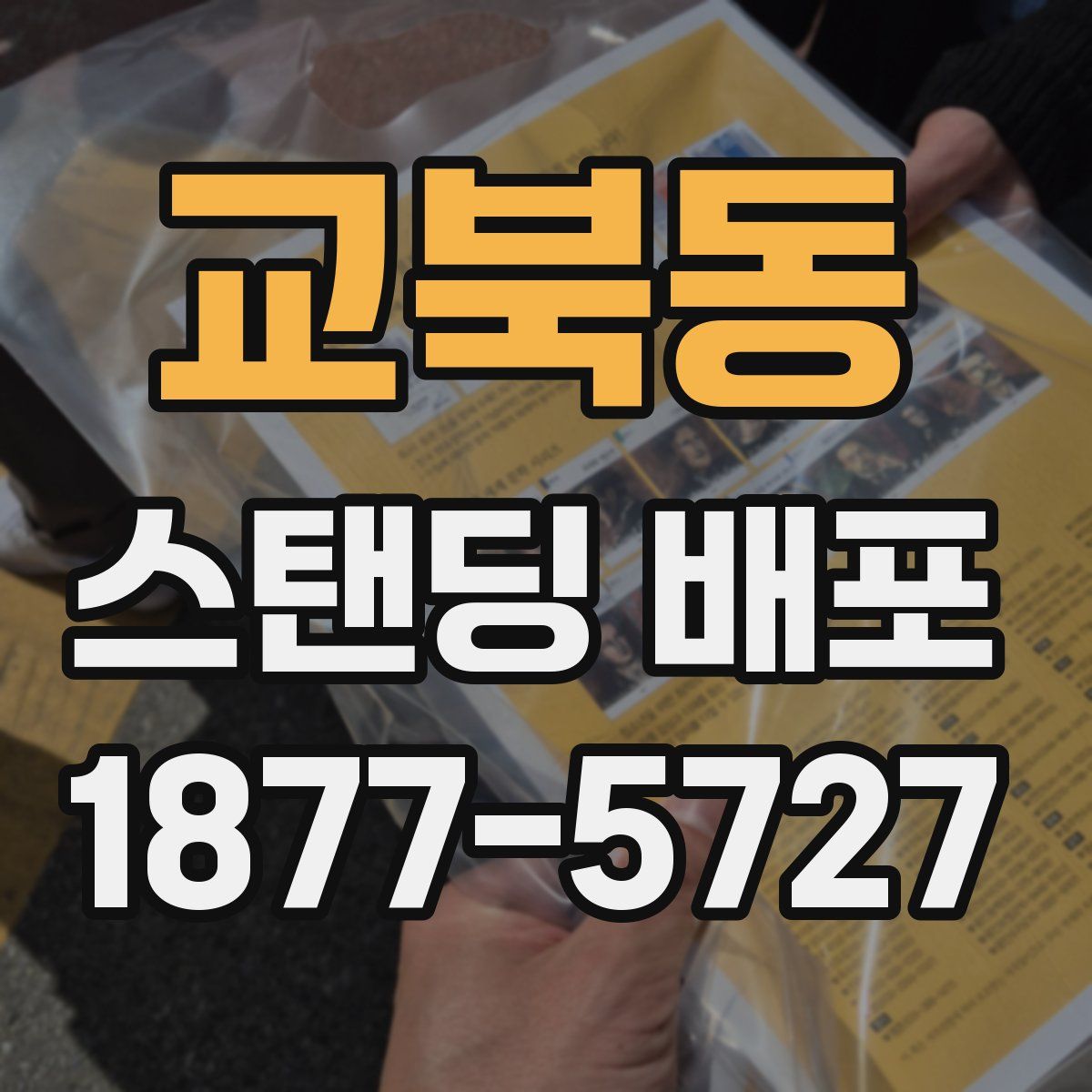 교북동 스탠딩 배포