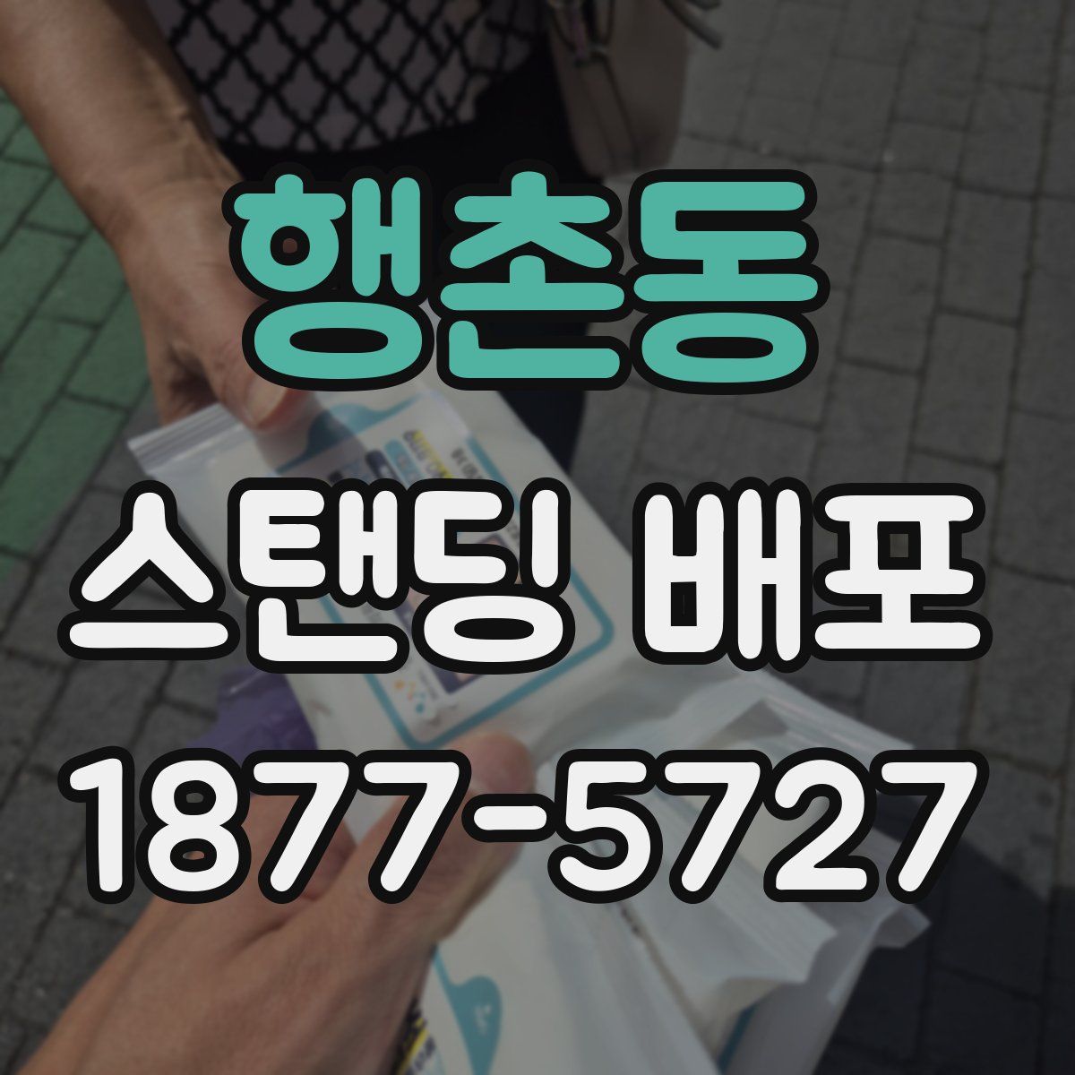 행촌동 스탠딩 배포