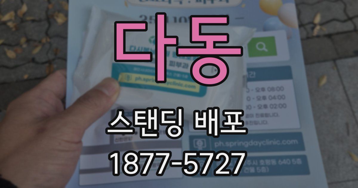 다동 스탠딩 배포