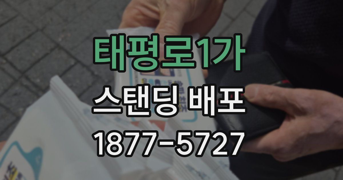 태평로1가 스탠딩 배포