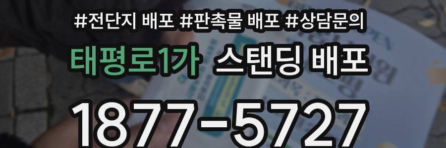 태평로1가 스탠딩 배포