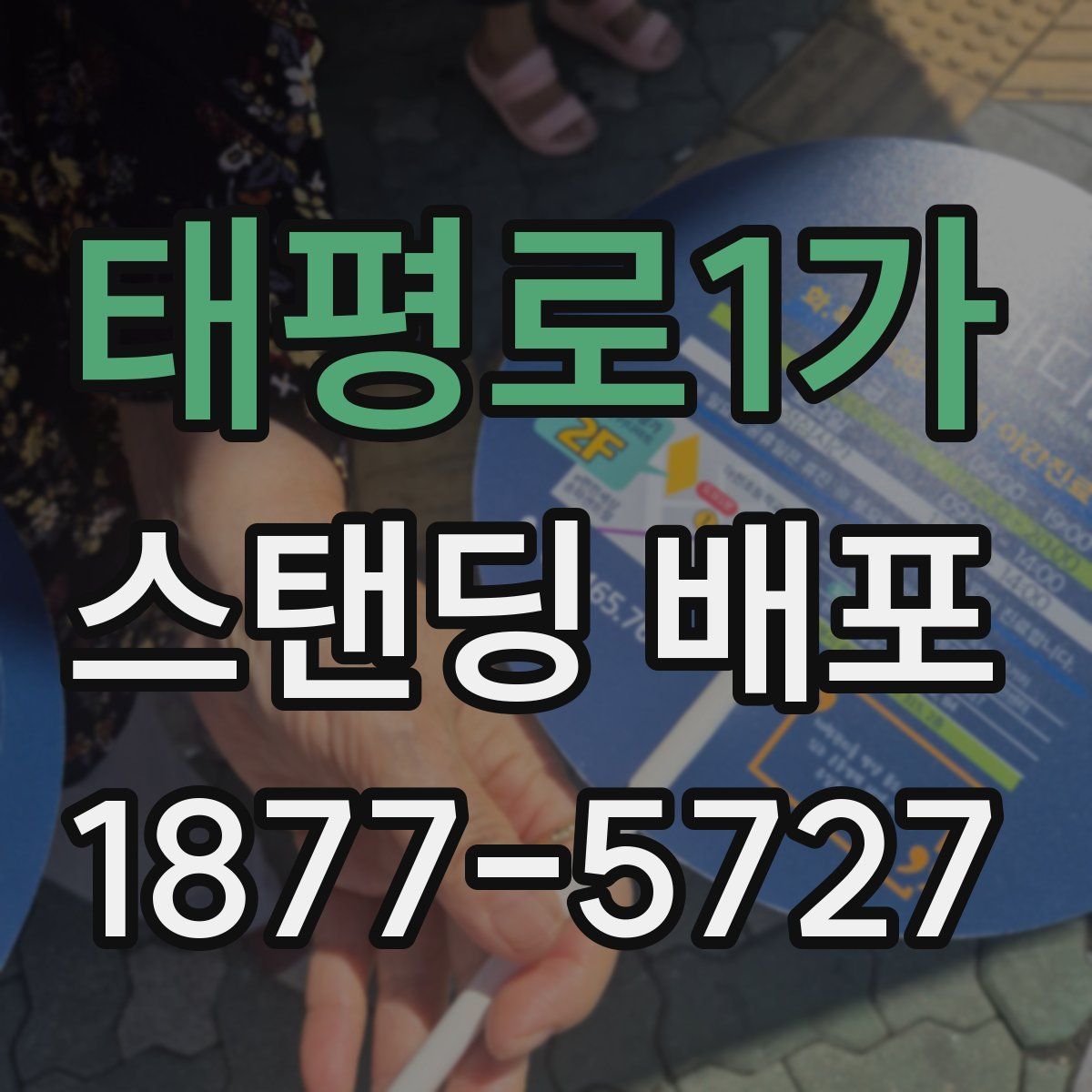 태평로1가 스탠딩 배포