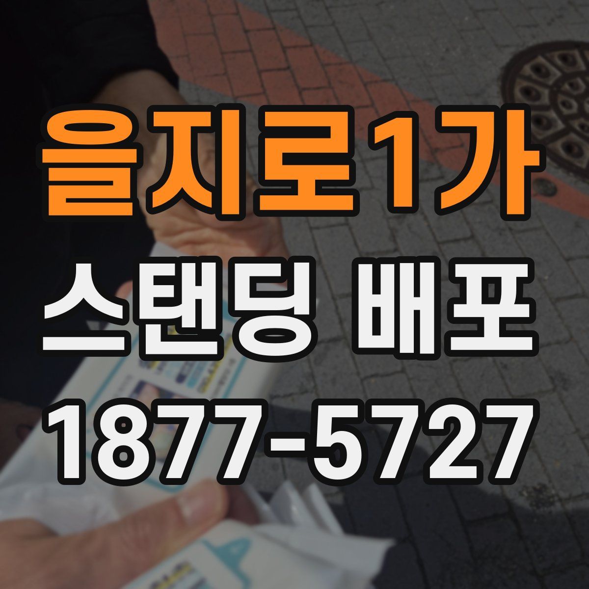 을지로1가 스탠딩 배포
