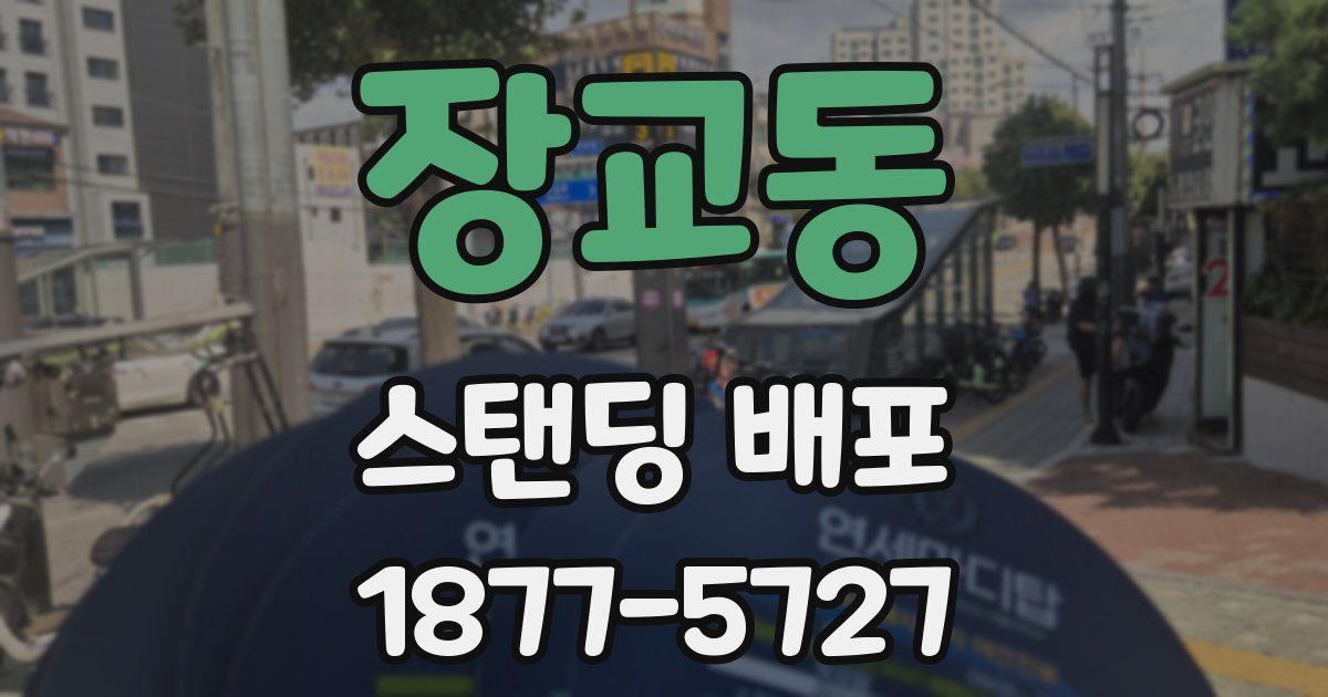 장교동 스탠딩 배포