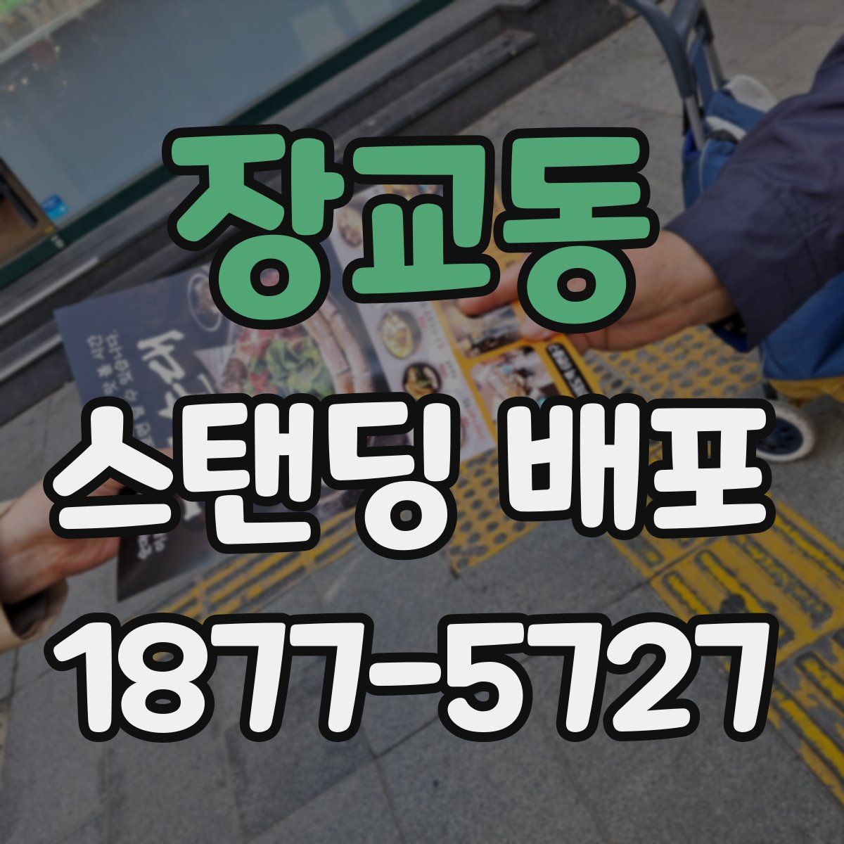 장교동 스탠딩 배포