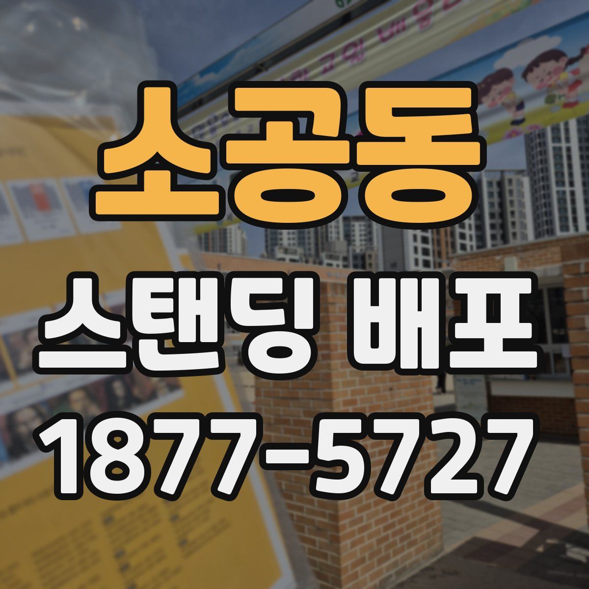 소공동 스탠딩 배포