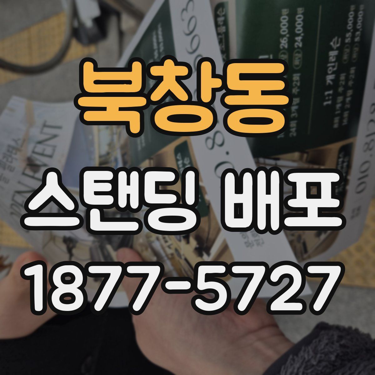북창동 스탠딩 배포