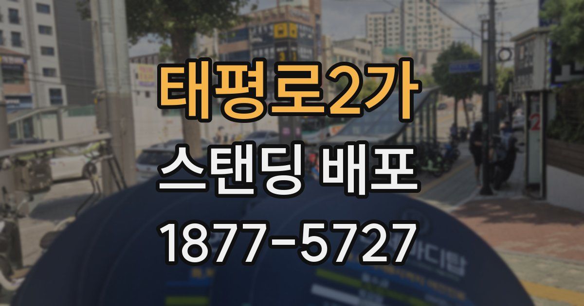 태평로2가 스탠딩 배포