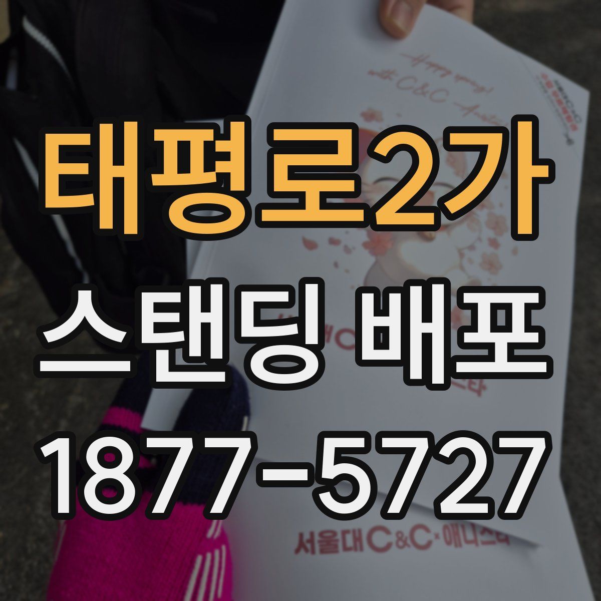 태평로2가 스탠딩 배포