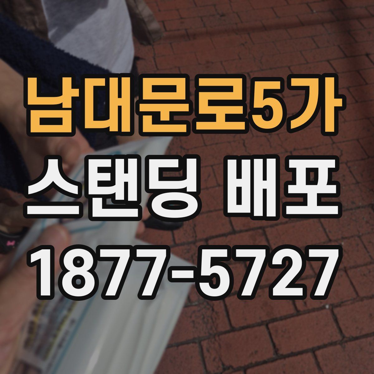 남대문로5가 스탠딩 배포