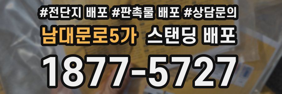 남대문로5가 스탠딩 배포