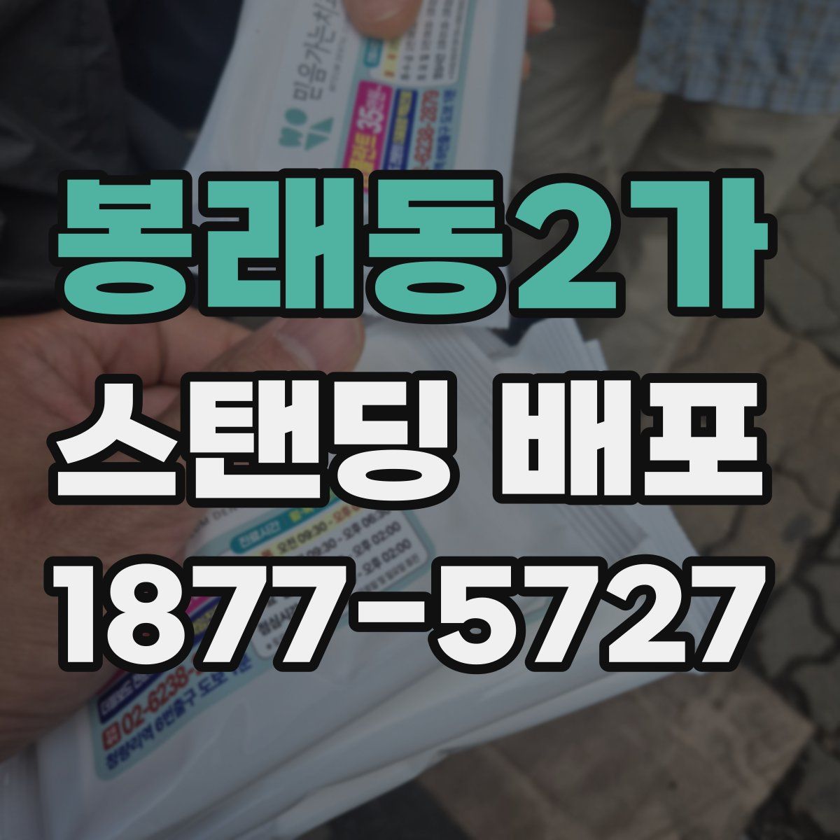 봉래동2가 스탠딩 배포