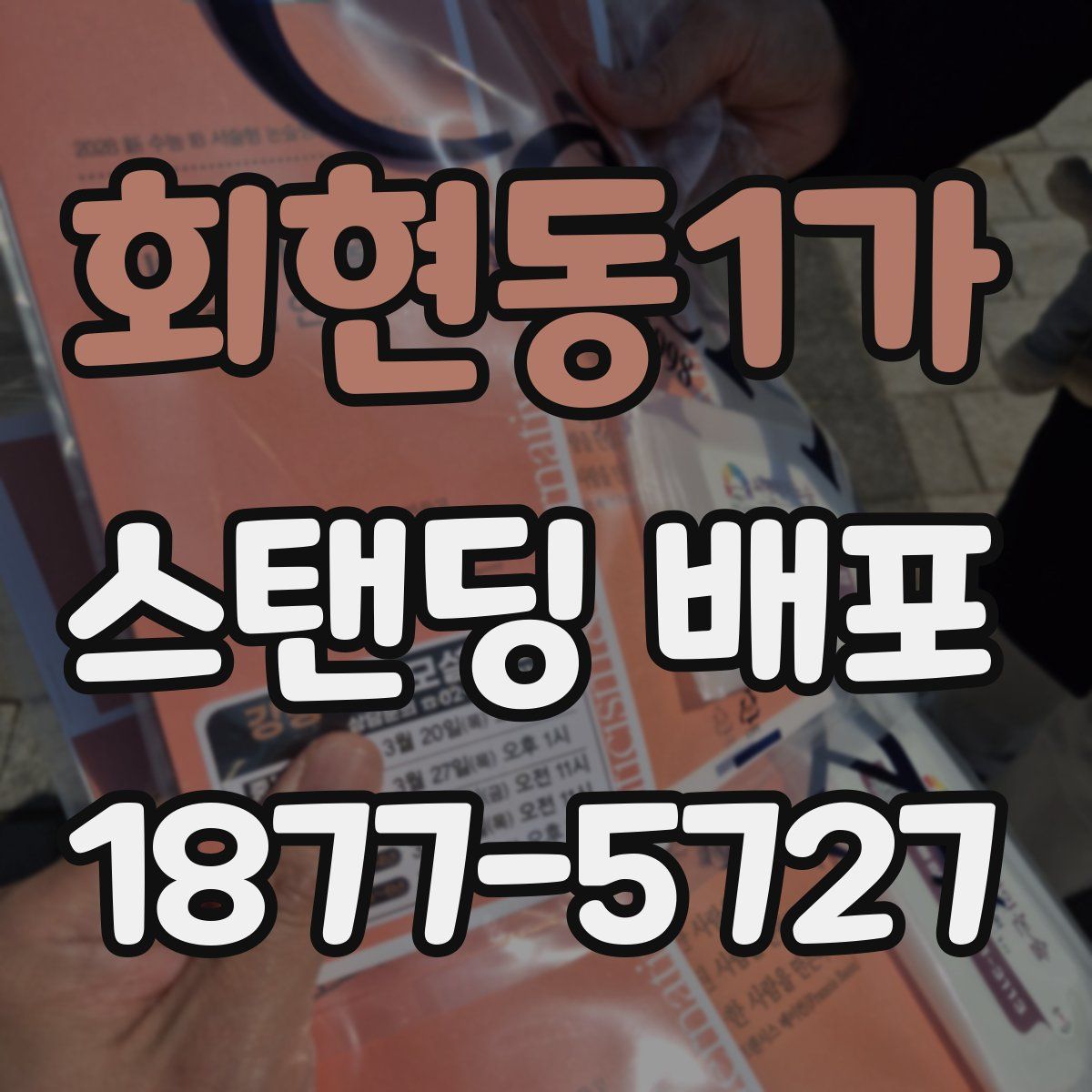 회현동1가 스탠딩 배포