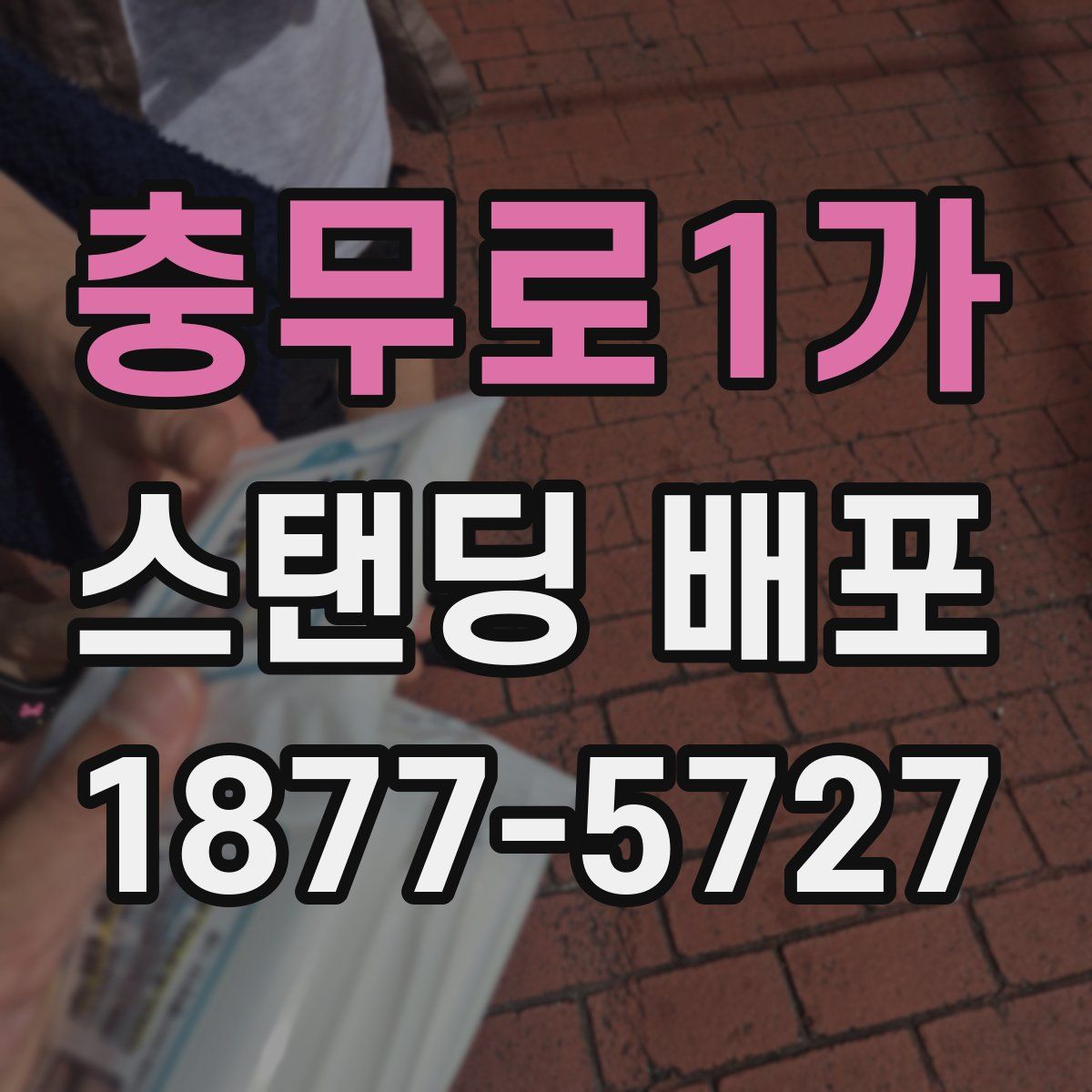 충무로1가 스탠딩 배포
