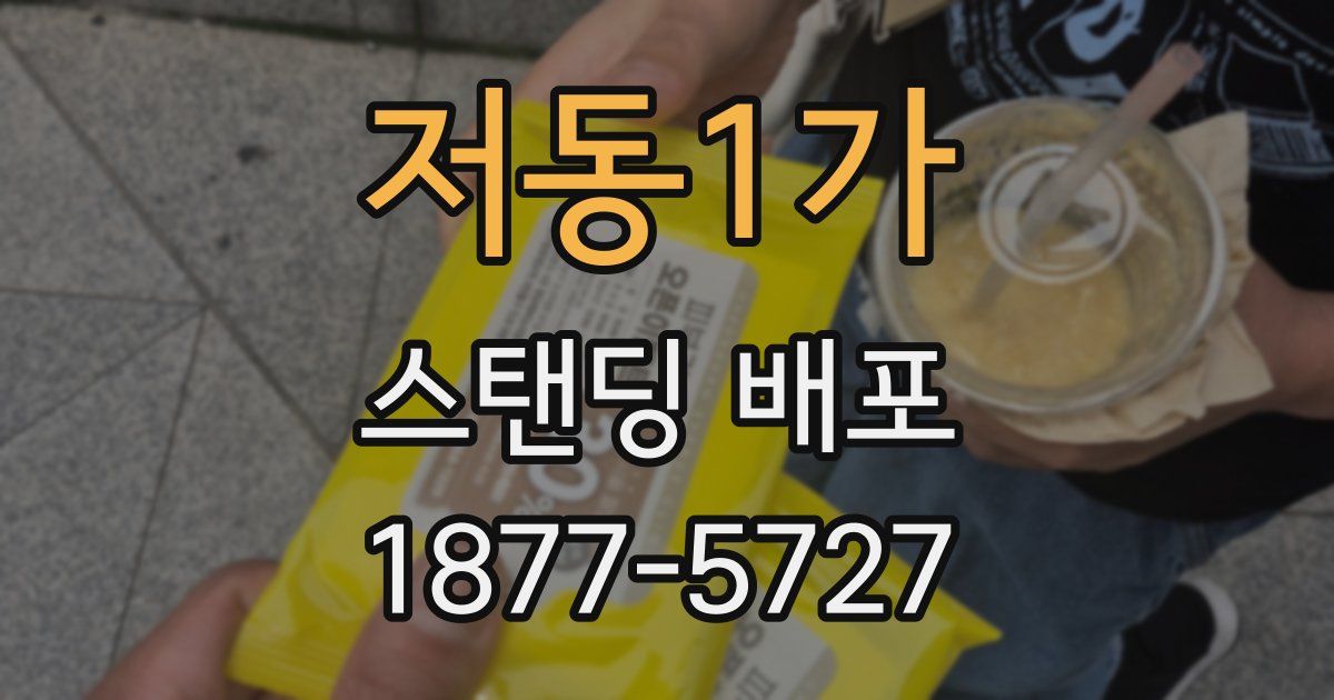 저동1가 스탠딩 배포