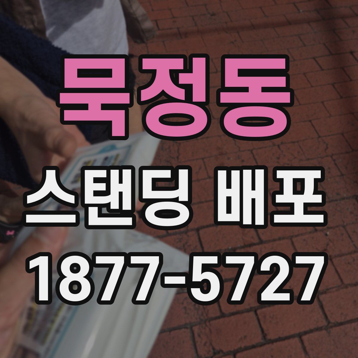 묵정동 스탠딩 배포