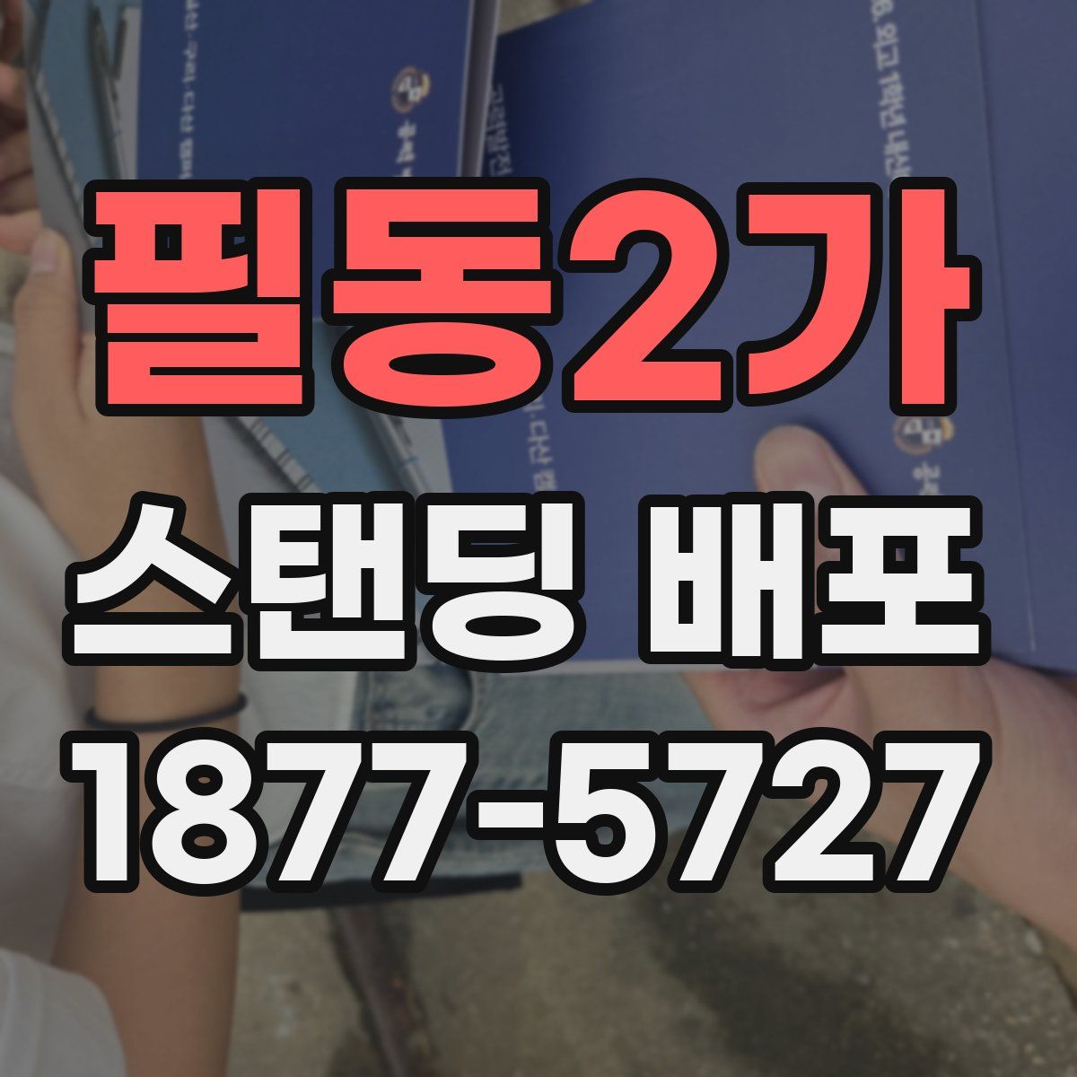 필동2가 스탠딩 배포
