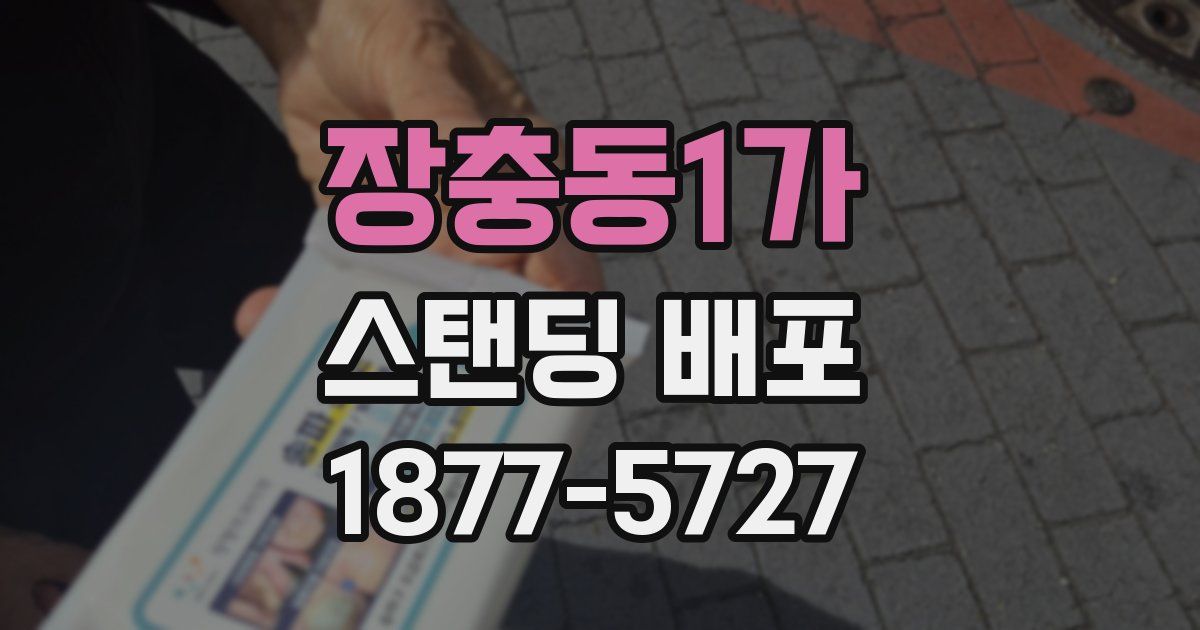 장충동1가 스탠딩 배포
