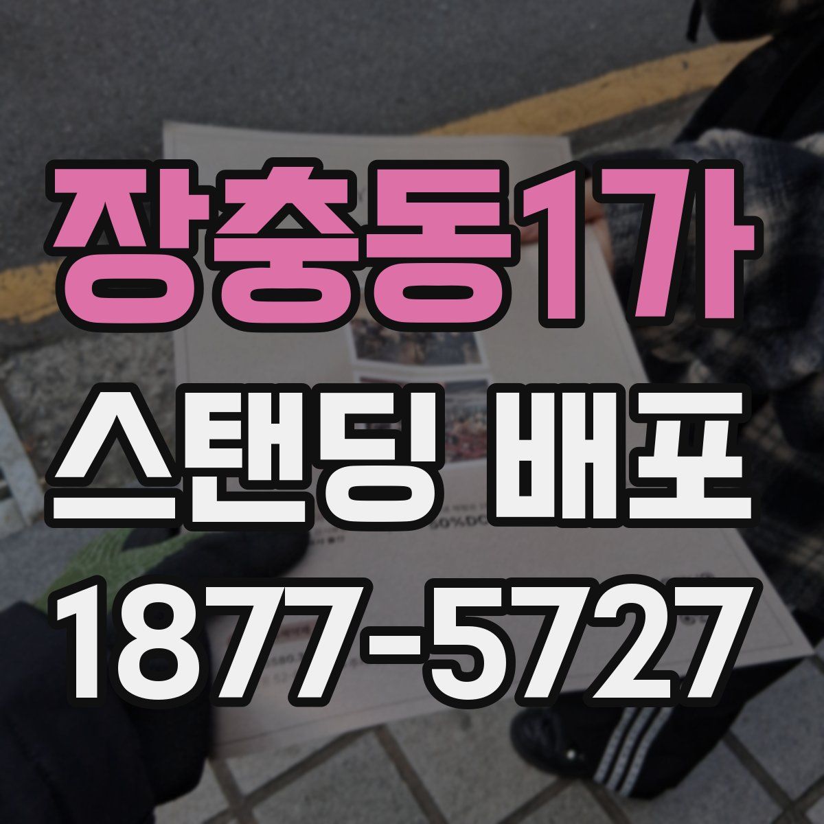 장충동1가 스탠딩 배포