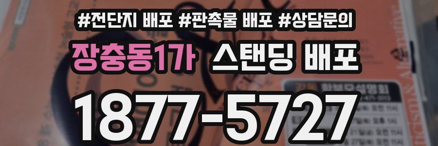 장충동1가 스탠딩 배포