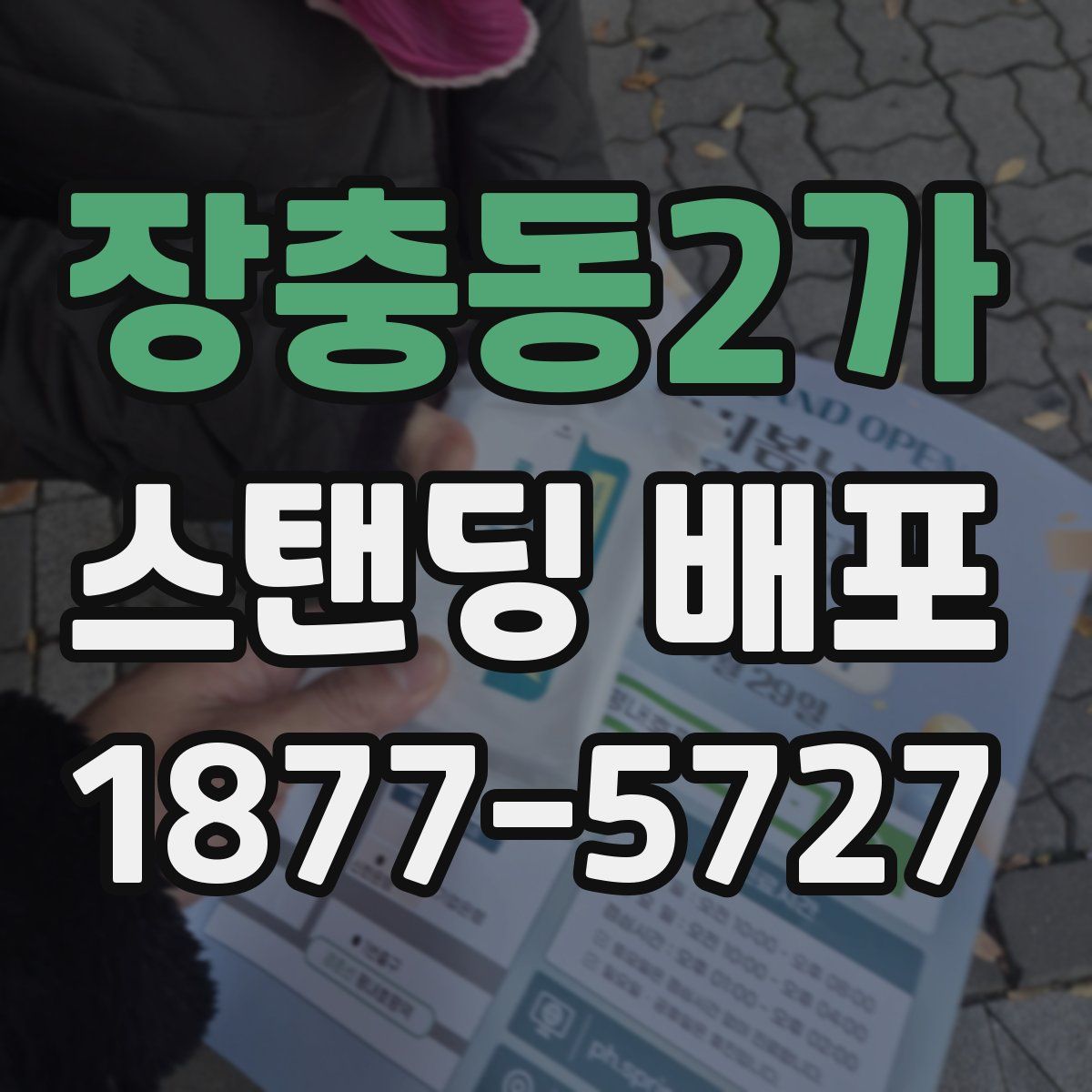 장충동2가 스탠딩 배포