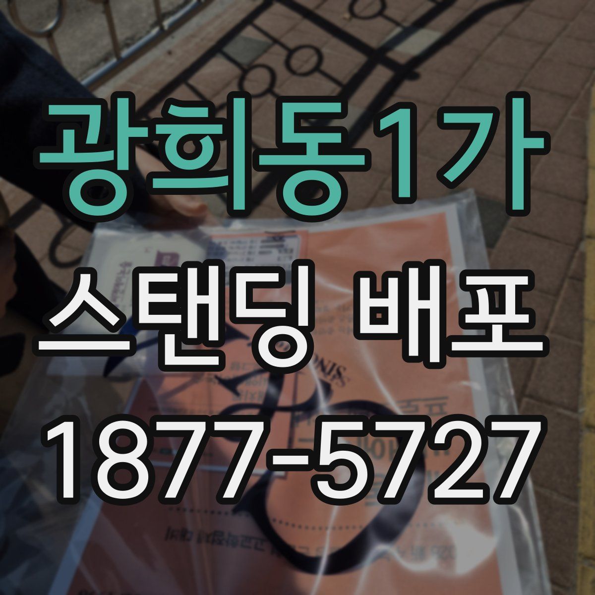 광희동1가 스탠딩 배포