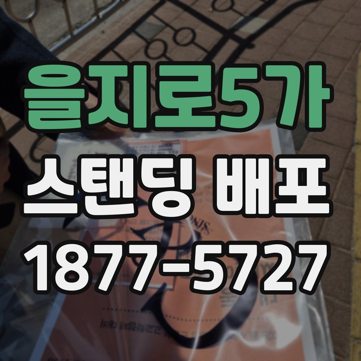 을지로5가 스탠딩 배포