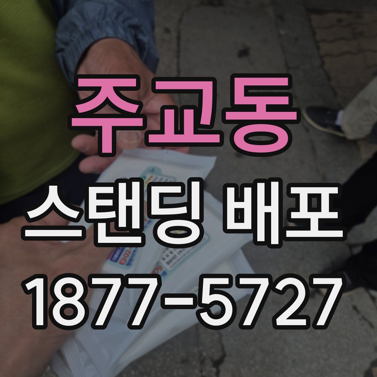 주교동 스탠딩 배포