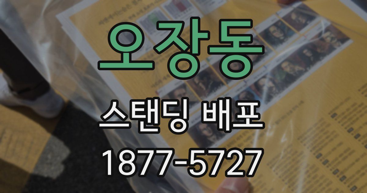 오장동 스탠딩 배포