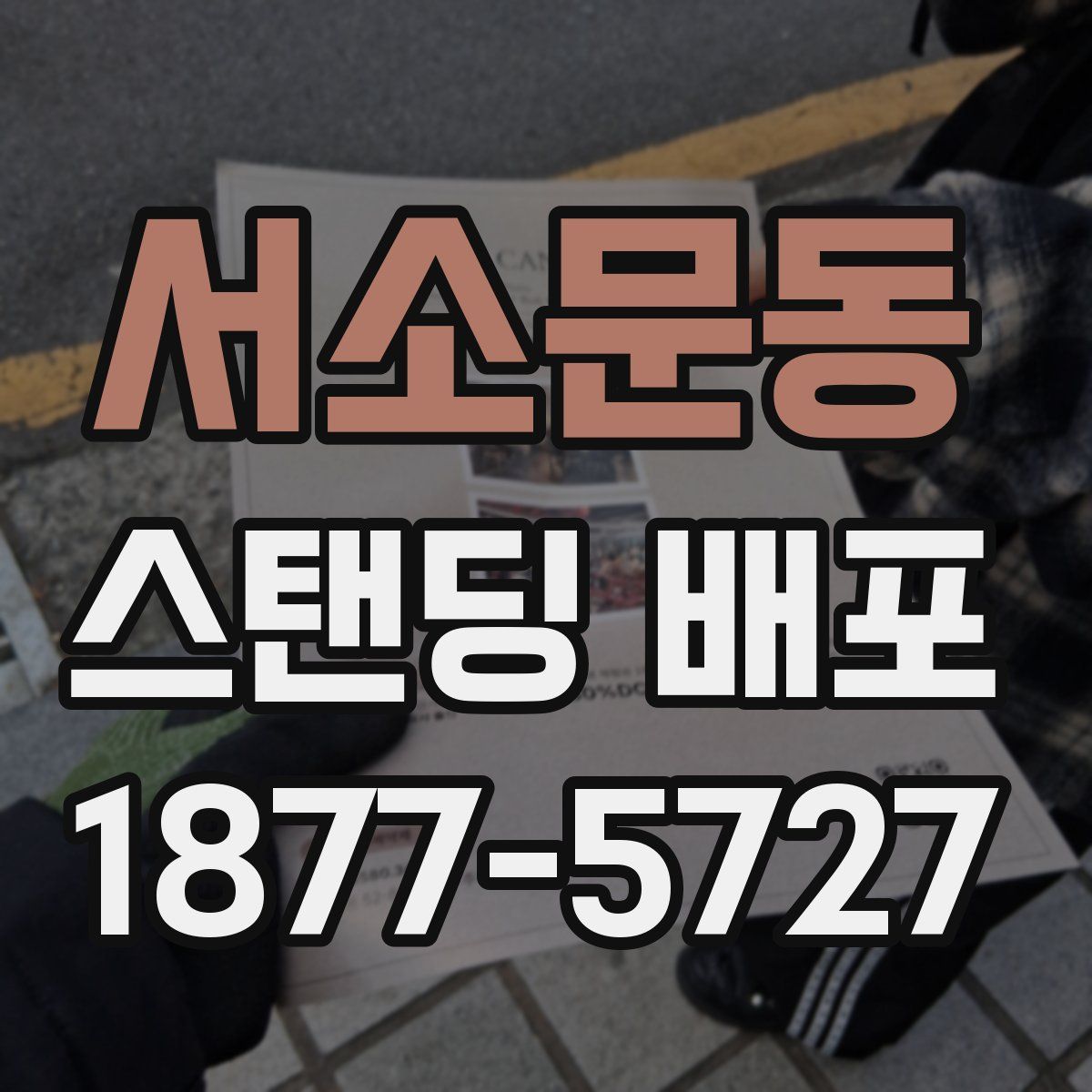 서소문동 스탠딩 배포