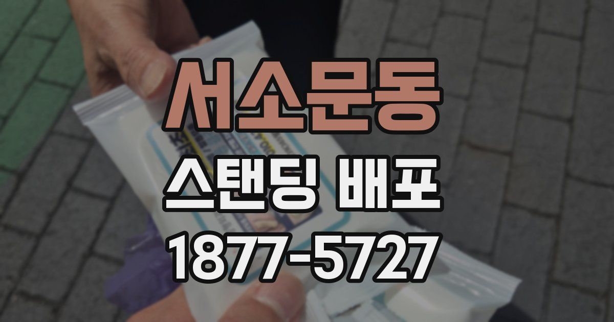 서소문동 스탠딩 배포
