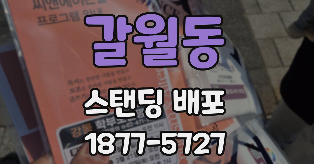 갈월동 스탠딩 배포