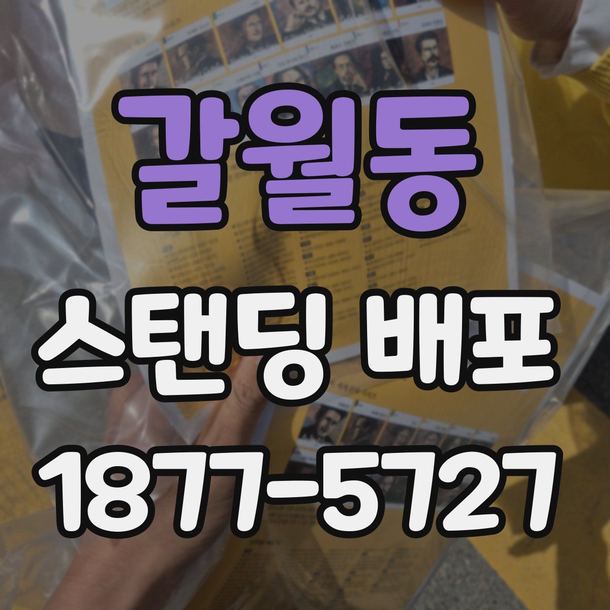 갈월동 스탠딩 배포