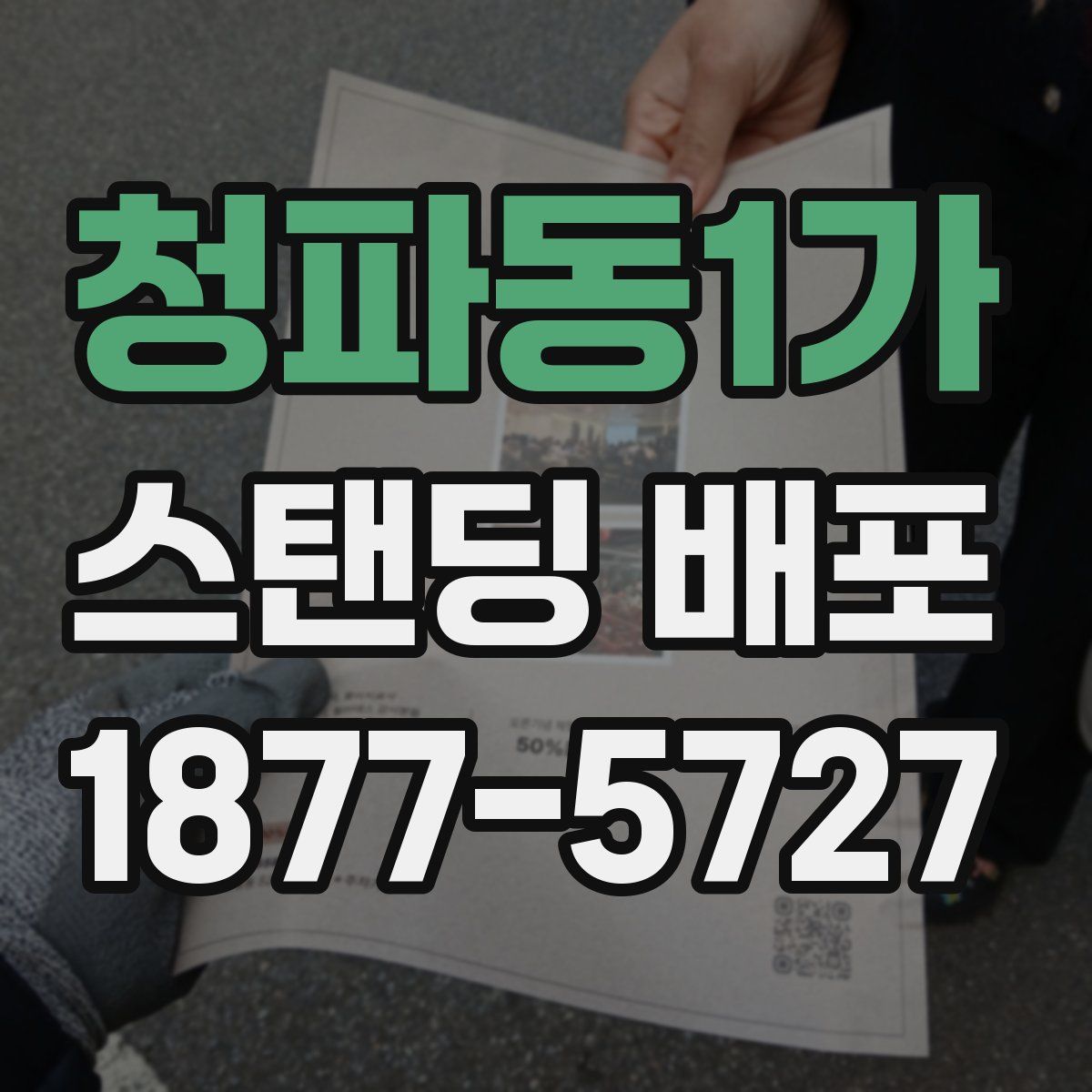 청파동1가 스탠딩 배포