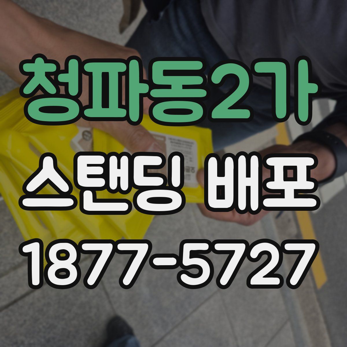 청파동2가 스탠딩 배포