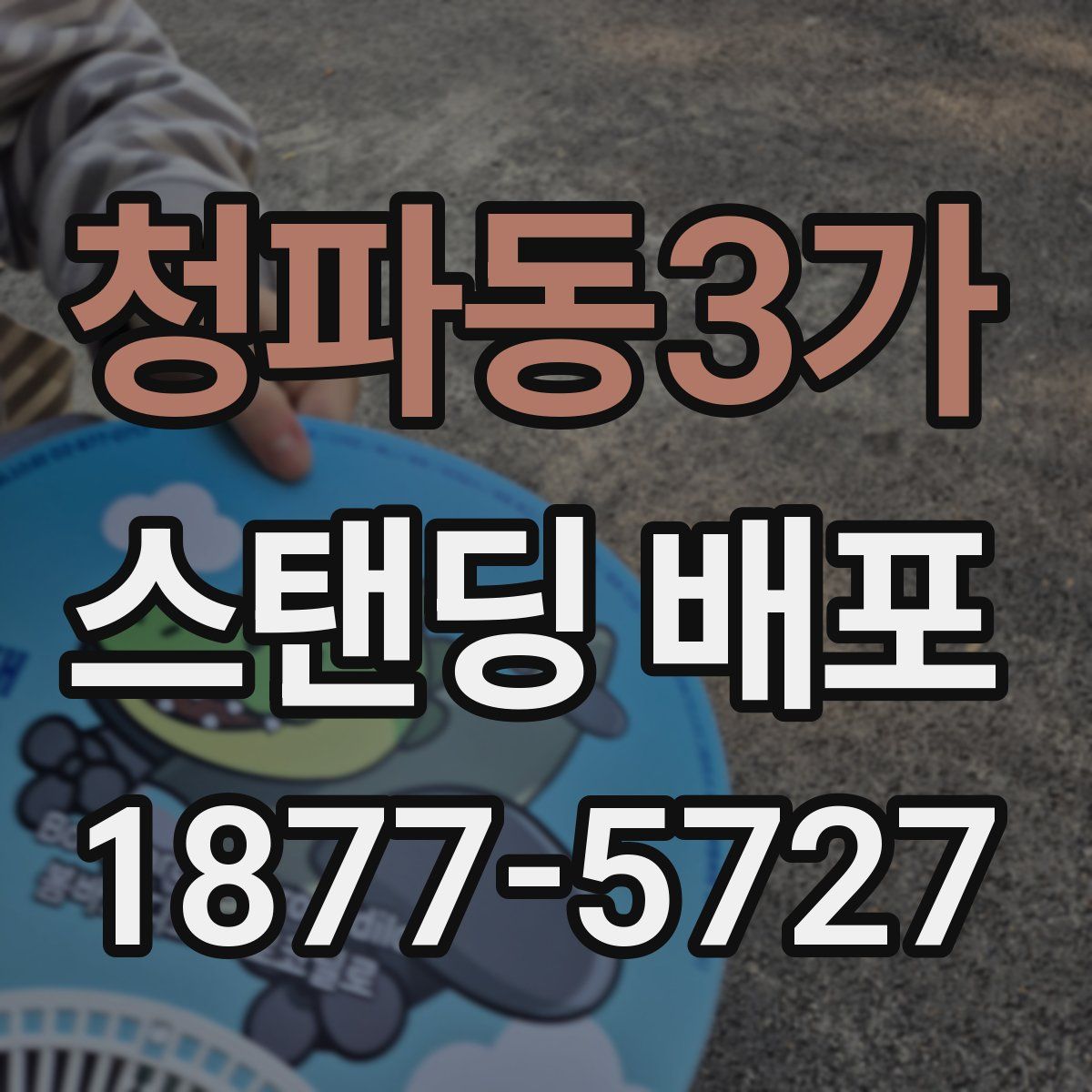청파동3가 스탠딩 배포