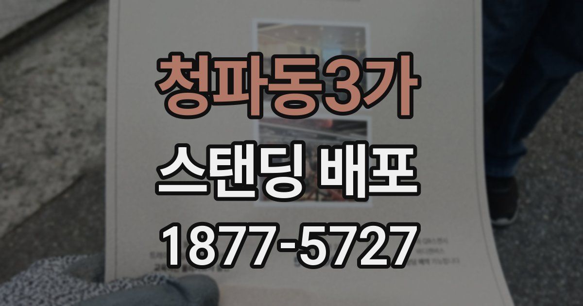 청파동3가 스탠딩 배포