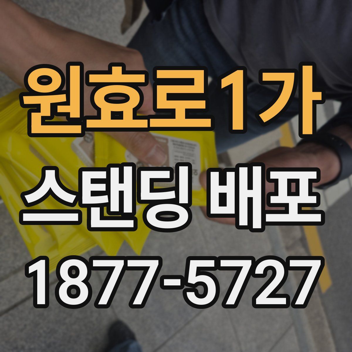 원효로1가 스탠딩 배포
